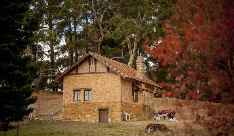 Heritage building amid autumn leaves